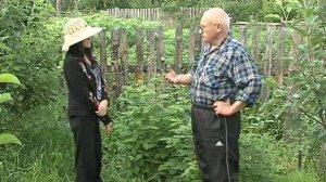 Садоводство по Железову. ТВ Енисей. Урок 1.mp4