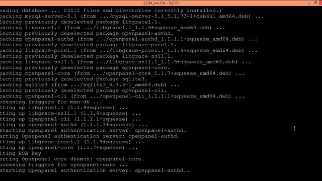 How to Install Openpanel Web Hosting Control Panel in Debian смотреть онлайн