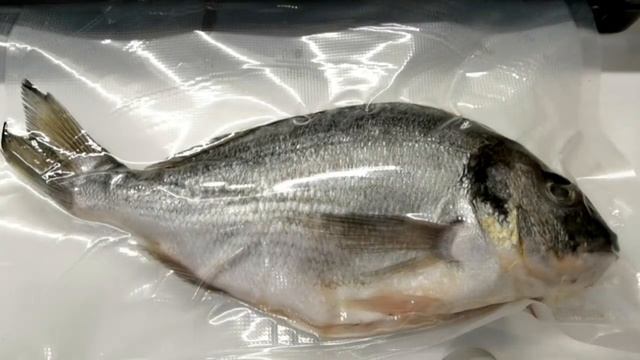 Vacuum Packing - Fat Fish смотреть онлайн
