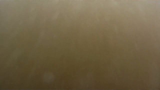 Всем купон. FlyBoard (флайборд) в Киеве от компании 