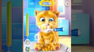 Рыжий котик-повторюшка. Рыжик купается и чистит зубы.Talking cat.