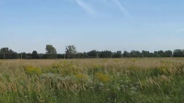 Russian field, Tula region, Lipky city смотреть онлайн