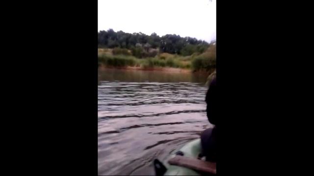 Рыбалка без удочек. Рыба сама прыгает в лодку. смотреть онлайн