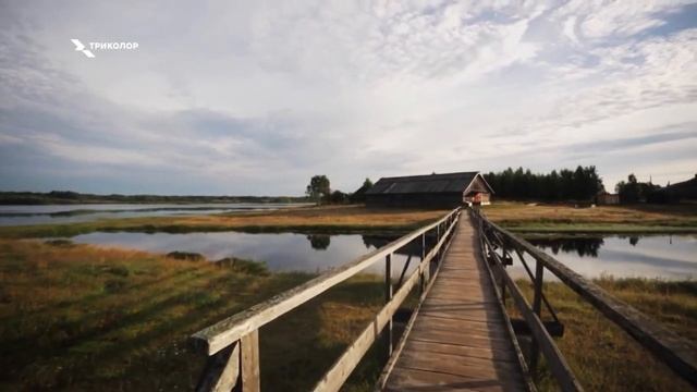 спутниковый интернет триколор 10 смотреть онлайн