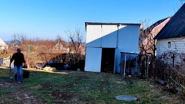 Чем лучше всего укрывать растения на зиму ?Как правильно посадить магнолию?Советы от ботаника? смотреть онлайн