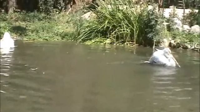 заповедные места омской области смотреть онлайн