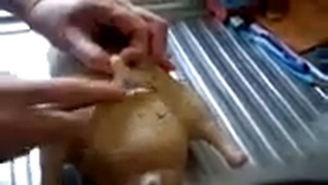 Разделка утки простой и легкий способ смотреть онлайн