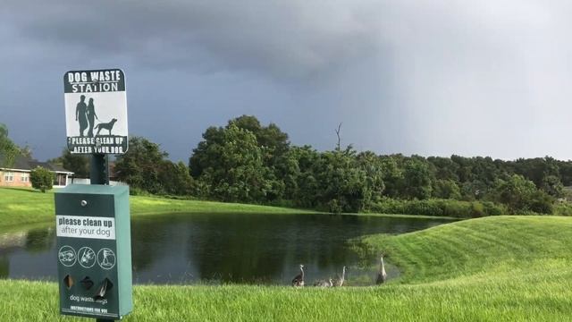 РЕЦЕПТ НА УЖИН И УТРЕННЯЯ ПРОГУЛКА смотреть онлайн