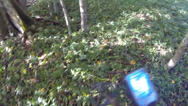 По местам былых боев 1812г. с Nokta Legend (часть2)