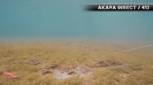 ВСЕ ДЖИГОВЫЕ ПРОВОДКИ на спиннинг / Как ловить на джиг для начинающих