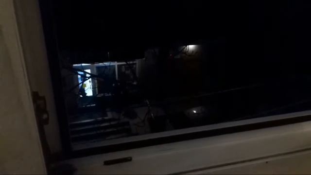 Бомжи орут смотреть онлайн