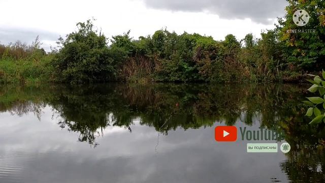 рыбалка на карася в Чечне, пруд в Хамби-ирзе смотреть онлайн
