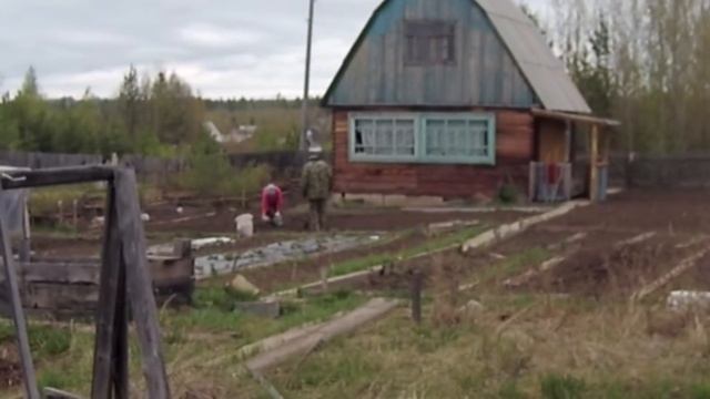 Посадка позапрошлогоднего картофеля Часть 1 смотреть онлайн