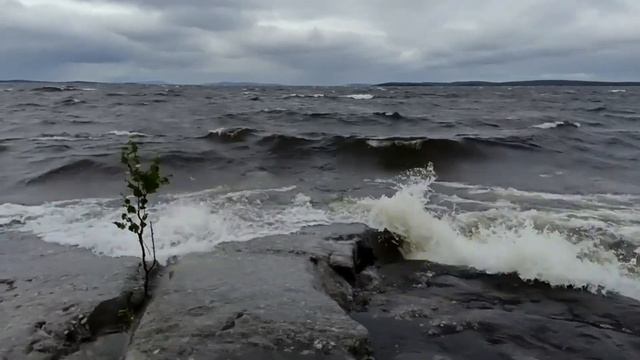Пяозеро, Кумское вдхр, Карелия смотреть онлайн