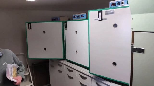 ПОЕЗДКА ЗА ИНКУБАЦИОННЫМ ЯЙЦОМ МАРТ 2019г смотреть онлайн