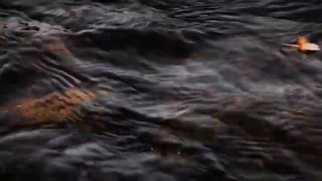 VisitLakeland рыбалка на мушку смотреть онлайн