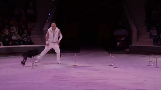 Цирковые семьи. Собаки смотреть онлайн