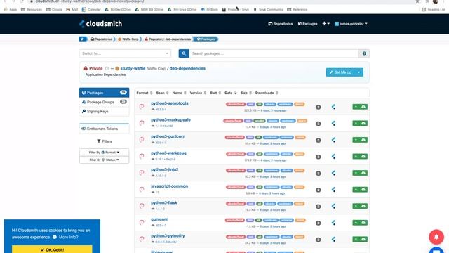 LF Live Webinar: Continuous...Everything? Integration, Packaging, Delivery, and Security All in One смотреть онлайн