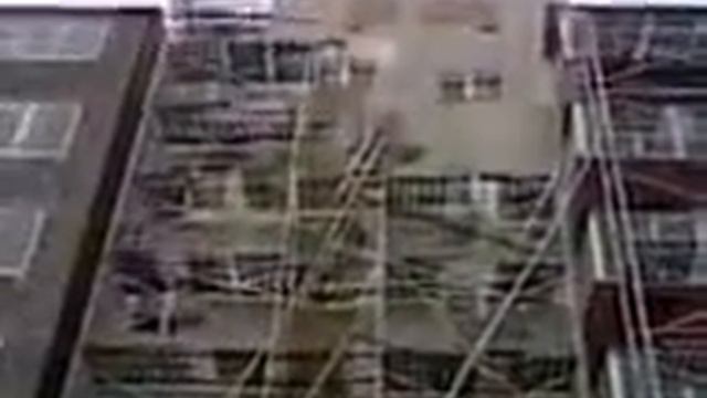 Леса.3gp смотреть онлайн