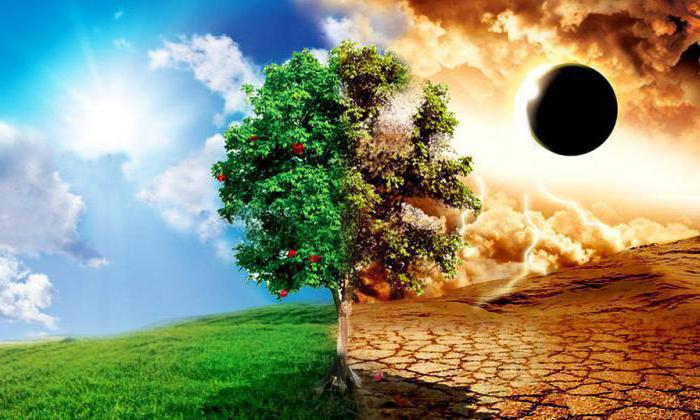 12.4. Добро и зло.mp4 смотреть онлайн