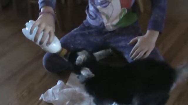 Bottle Feeding Lulah Blue смотреть онлайн