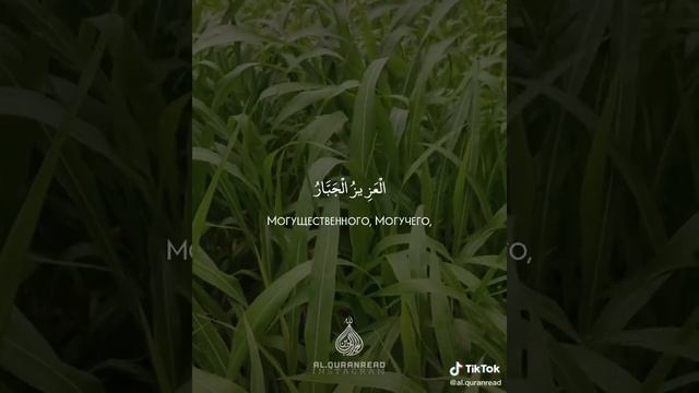 Успокаивающее чтение Корана смотреть онлайн