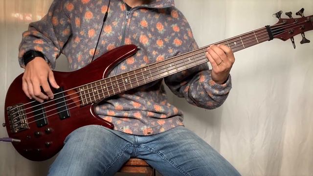 Skid Row - The Gang's All Here (Bass Cover Tribute by Gustavo Amaro) смотреть онлайн