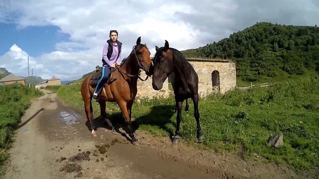 Лошади знакомятся Карачаево-черкессия смотреть онлайн