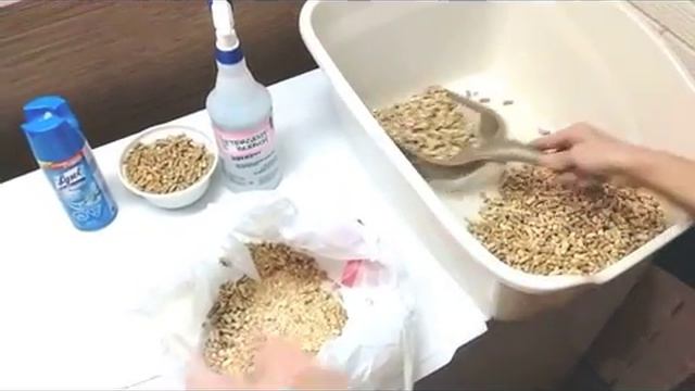 How to clean a cat wood pellet litter box смотреть онлайн