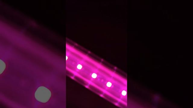 Фитосветильники с выключателем и необходимой проводкой в комплекте смотреть онлайн
