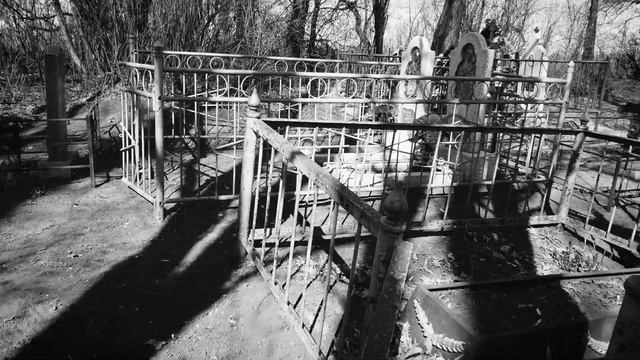 ВАМПИРЫ СРЕДИ НАС! - Страшные Истории На Ночь