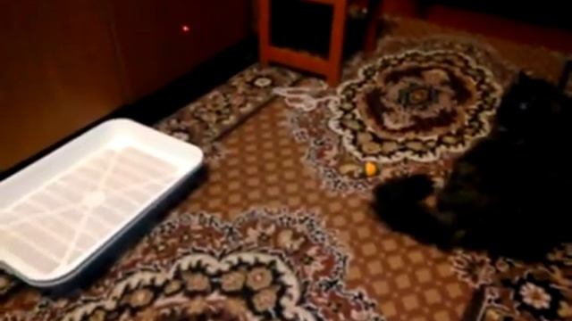 Ах эти кошки! смотреть онлайн