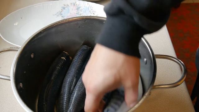 СЕЛЕДКА СОЛЕНАЯ !!! СКУМБРИЯ малосольная !!! Самый быстрый РЕЦЕПТ смотреть онлайн
