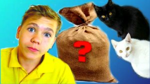 КОШКИ! Вы принесли БЕЗДОМНОГО КОТЁНКА?! Вы его СПАСЛИ или УКРАЛИ?!