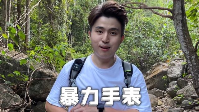 DIZO Watch 2 双曲+600nit 不用一顿海底捞的价格！超值！ смотреть онлайн