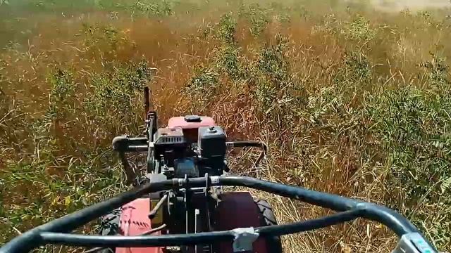 После ремонта мотоблок Авангард