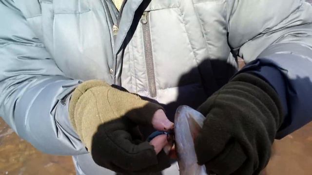 Судак на джиг ранней весной. Март 2014 смотреть онлайн