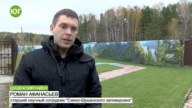 Изучение популяции северного оленя в "Саяно-Шушенском" заповеднике смотреть онлайн
