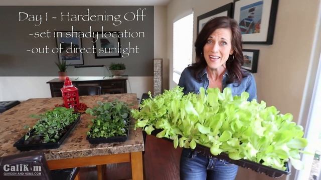 How to Transition Indoor Seedlings to Outdoors (Hardening Off) / Spring Garden Series #3 смотреть онлайн