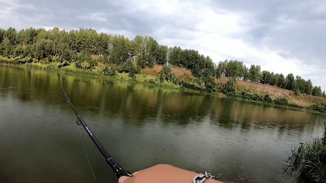 Рыбалка в Воронежской области на реке Дон 11.08.2021 смотреть онлайн