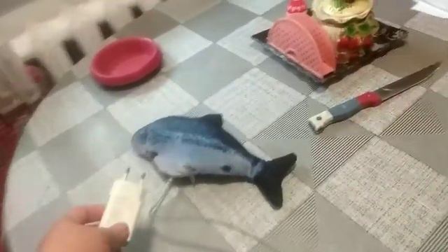 Мама пяти кошек из Запорожья. Ездила к родителям. Рыба моей мечты ! смотреть онлайн