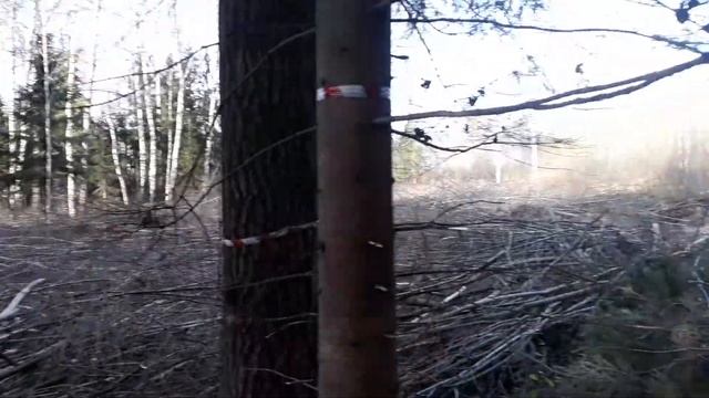Расчистка участка под застройку. Удаление кустарника смотреть онлайн