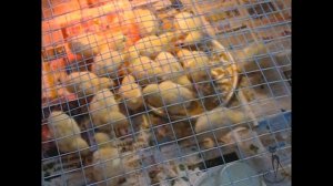 Как вырастить бройлеров  на даче. Минимум трудностей, максимум удовольствия!