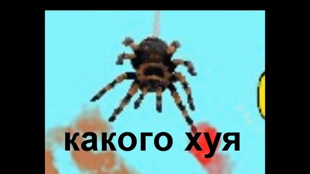 Какао - бобы, а зачем? смотреть онлайн