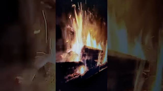 Dz "Scerry" ManCave 2018 смотреть онлайн