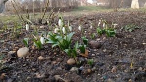 ПАРИМСЯ В ДЕРЕВЕНСКОЙ БАНЕ / ГОЛЫШЕМ !?