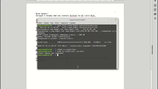Устанавливаем DirectX На Linux Mint смотреть онлайн