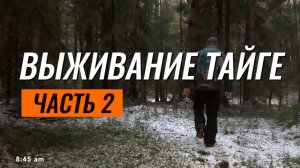 Выживание в тайге (часть 2) #выживание #тайга #отшельник