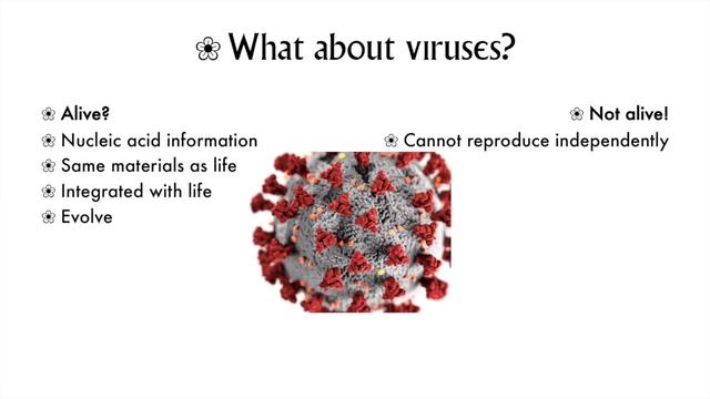 BIOL 1020 Ch 1-2 смотреть онлайн