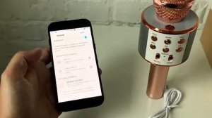 Обзор и настройка караоке микрофона